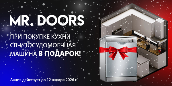 MR. DOORS